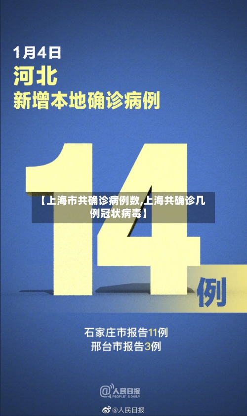 【上海市共确诊病例数,上海共确诊几例冠状病毒】-第2张图片