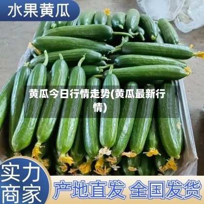 黄瓜今日行情走势(黄瓜最新行情)