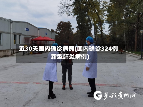 近30天国内确诊病例(国内确诊324例新型肺炎病例)