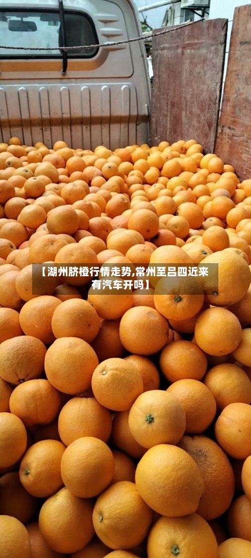 【湖州脐橙行情走势,常州至吕四近来有汽车开吗】