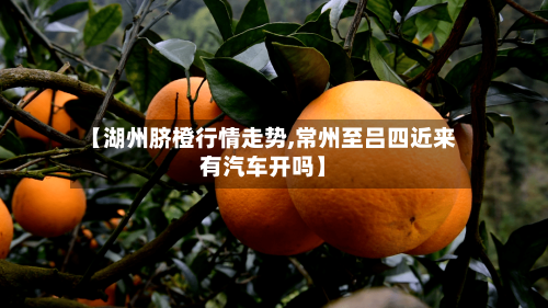 【湖州脐橙行情走势,常州至吕四近来有汽车开吗】-第2张图片
