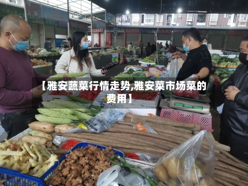 【雅安蔬菜行情走势,雅安菜市场菜的费用】-第2张图片