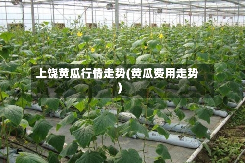 上饶黄瓜行情走势(黄瓜费用走势)-第3张图片
