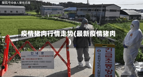 疫情猪肉行情走势(最新疫情猪肉)-第2张图片