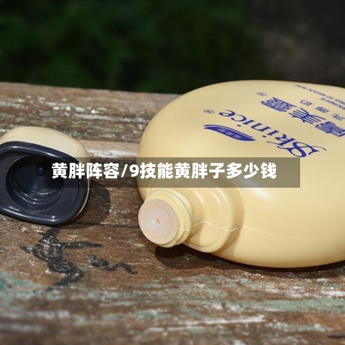黄胖阵容/9技能黄胖子多少钱