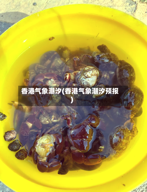 香港气象潮汐(香港气象潮汐预报)
