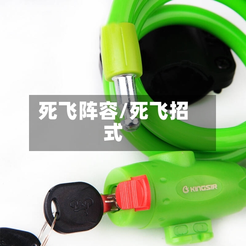 死飞阵容/死飞招式-第2张图片