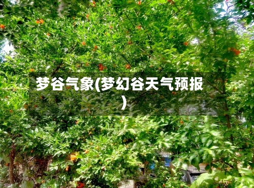 梦谷气象(梦幻谷天气预报)