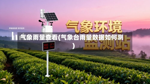 气象雨量查看(气象台雨量数据如何测)