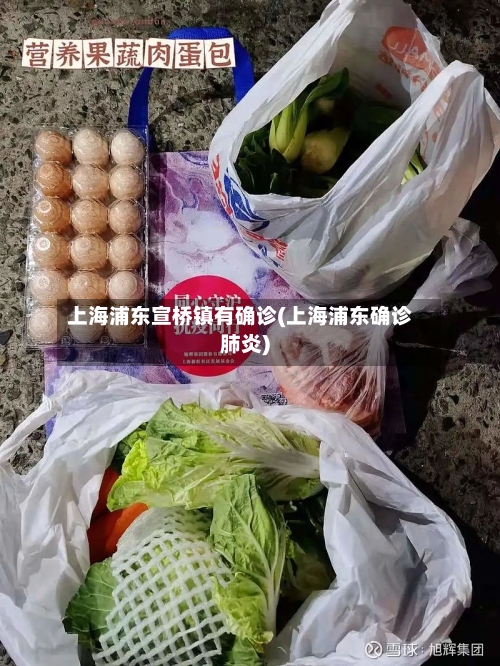 上海浦东宣桥镇有确诊(上海浦东确诊肺炎)-第3张图片