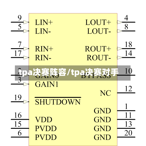 tpa决赛阵容/tpa决赛对手-第1张图片