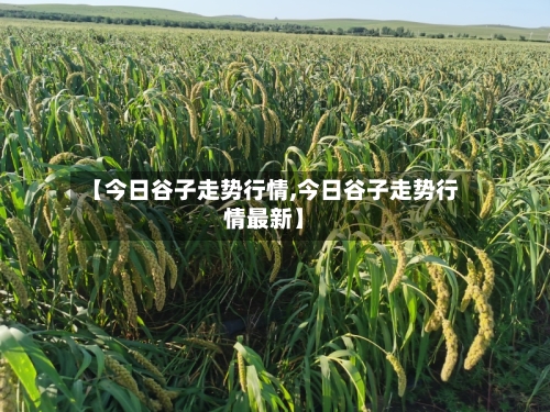 【今日谷子走势行情,今日谷子走势行情最新】-第1张图片