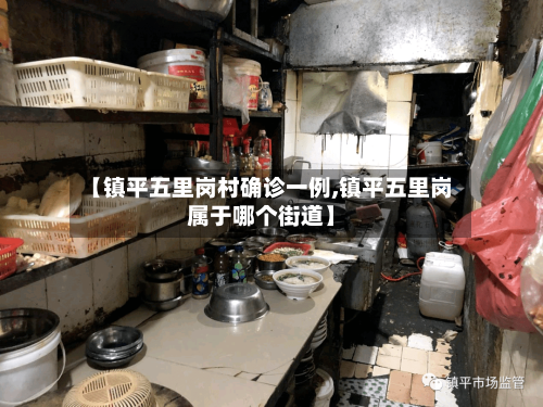 【镇平五里岗村确诊一例,镇平五里岗属于哪个街道】-第2张图片