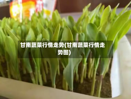 甘南蔬菜行情走势(甘南蔬菜行情走势图)-第2张图片
