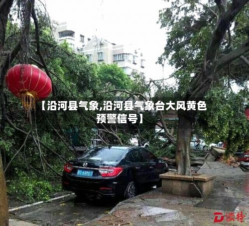 【沿河县气象,沿河县气象台大风黄色预警信号】