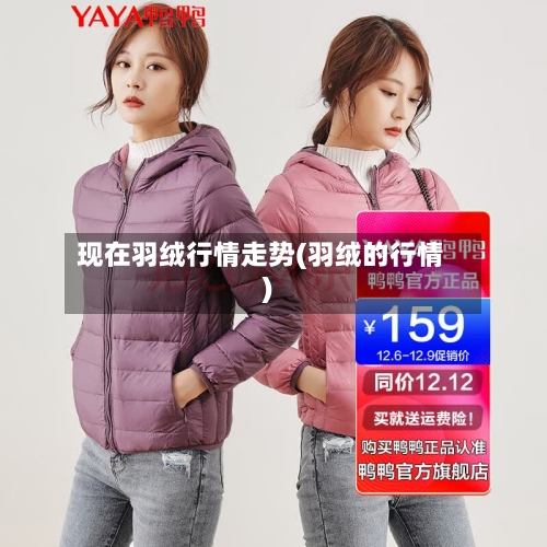 现在羽绒行情走势(羽绒的行情)-第3张图片