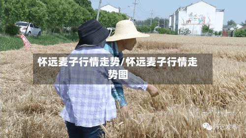 怀远麦子行情走势/怀远麦子行情走势图-第1张图片