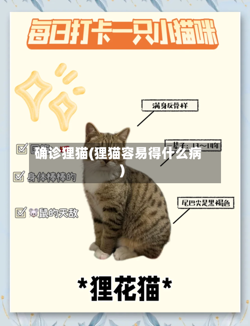 确诊狸猫(狸猫容易得什么病)-第1张图片