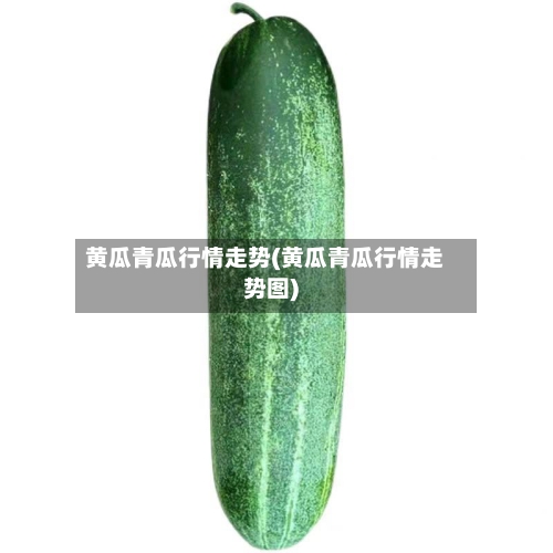黄瓜青瓜行情走势(黄瓜青瓜行情走势图)