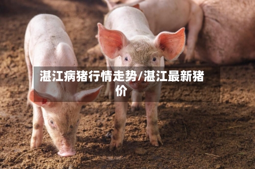 湛江病猪行情走势/湛江最新猪价-第1张图片