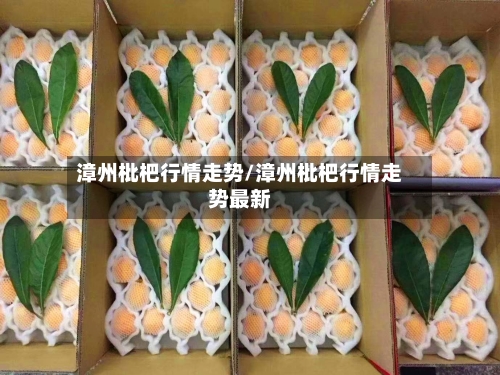 漳州枇杷行情走势/漳州枇杷行情走势最新-第3张图片