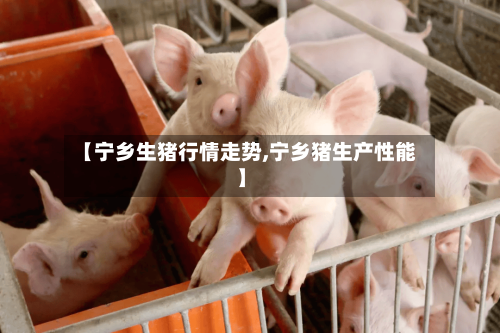 【宁乡生猪行情走势,宁乡猪生产性能】-第1张图片