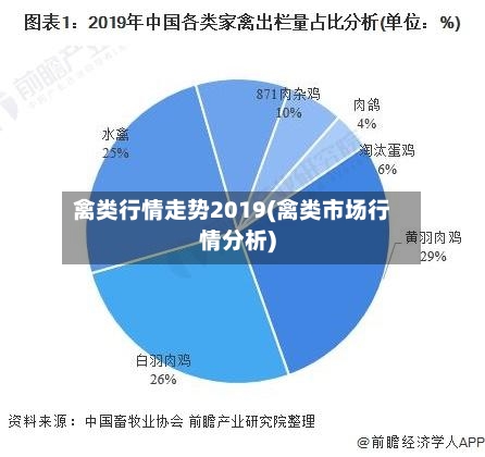 禽类行情走势2019(禽类市场行情分析)-第2张图片
