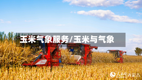 玉米气象服务/玉米与气象