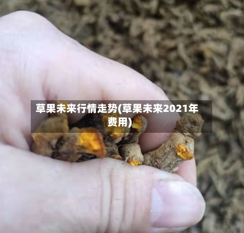 草果未来行情走势(草果未来2021年费用)