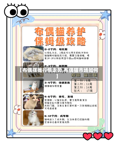 【布偶摆摊行情走势,布偶猫市场如何】-第2张图片