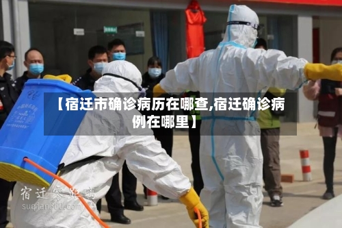 【宿迁市确诊病历在哪查,宿迁确诊病例在哪里】-第2张图片