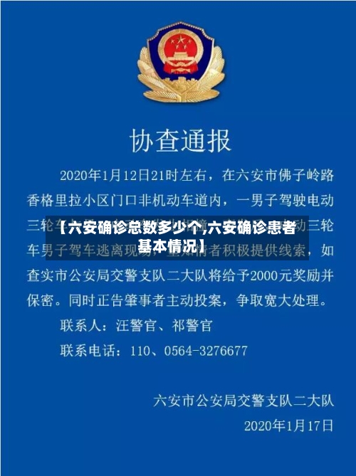 【六安确诊总数多少个,六安确诊患者基本情况】
