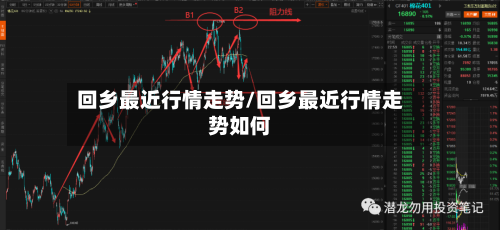 回乡最近行情走势/回乡最近行情走势如何-第3张图片