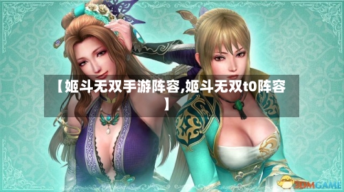 【姬斗无双手游阵容,姬斗无双t0阵容】