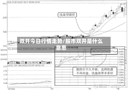 双开今日行情走势/股市双开是什么意思-第2张图片
