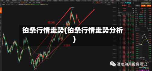 铂条行情走势(铂条行情走势分析)