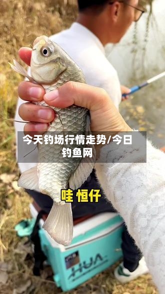 今天钓场行情走势/今日钓鱼网-第3张图片