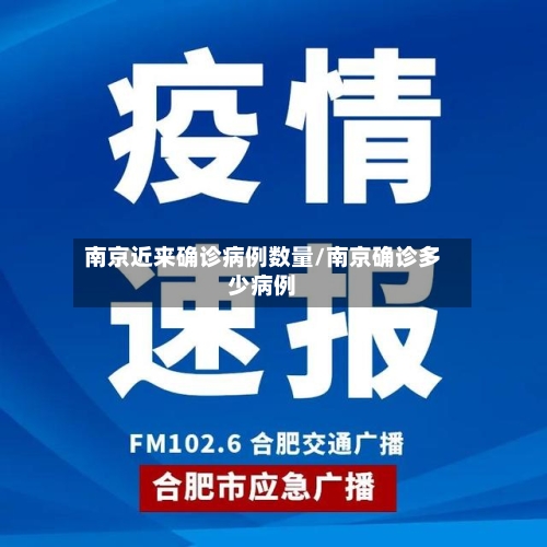 南京近来确诊病例数量/南京确诊多少病例-第2张图片