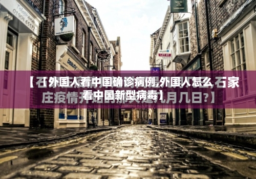 【外国人看中国确诊病例,外国人怎么看中国新型病毒】