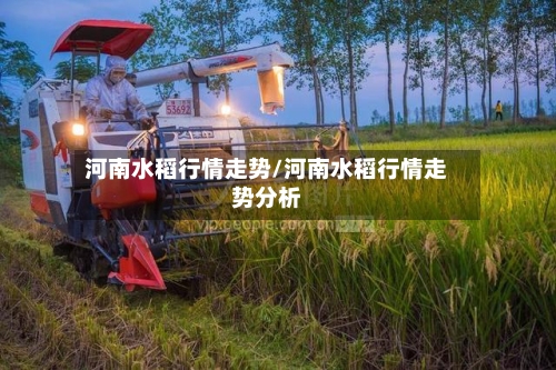河南水稻行情走势/河南水稻行情走势分析-第2张图片