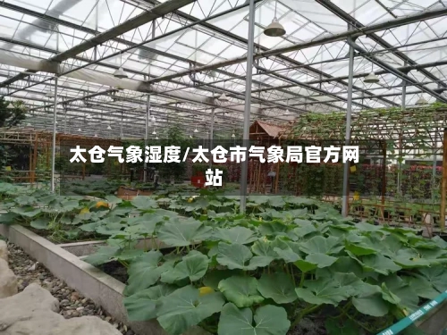 太仓气象湿度/太仓市气象局官方网站