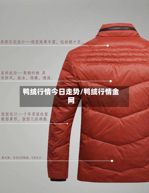 鸭绒行情今日走势/鸭绒行情金网-第3张图片