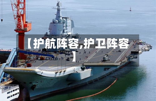 【护航阵容,护卫阵容】
