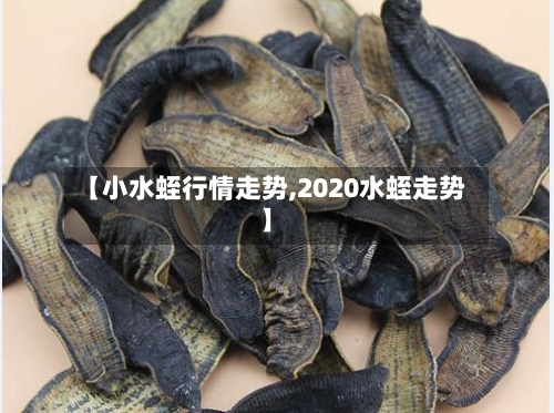 【小水蛭行情走势,2020水蛭走势】-第2张图片