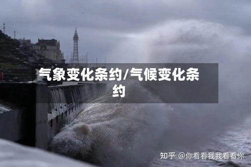 气象变化条约/气候变化条约