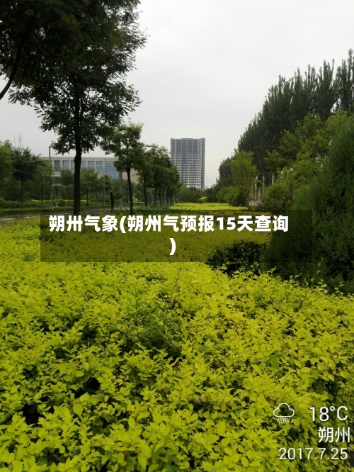 朔卅气象(朔州气预报15天查询)