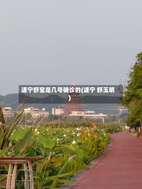 遂宁舒宝是几号确诊的(遂宁 舒玉明)