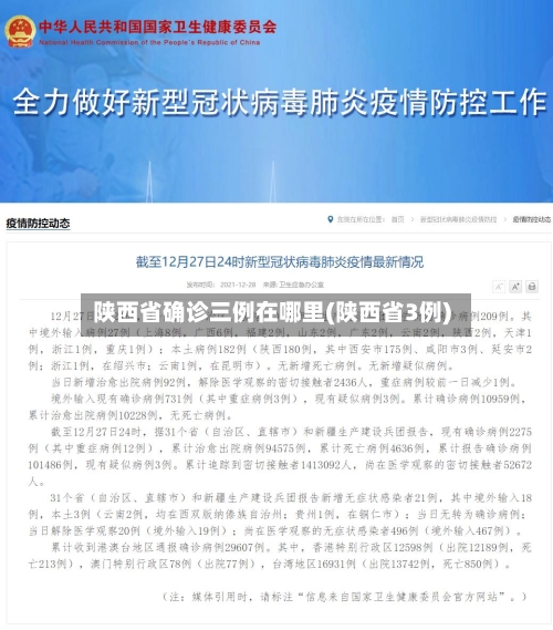陕西省确诊三例在哪里(陕西省3例)-第2张图片