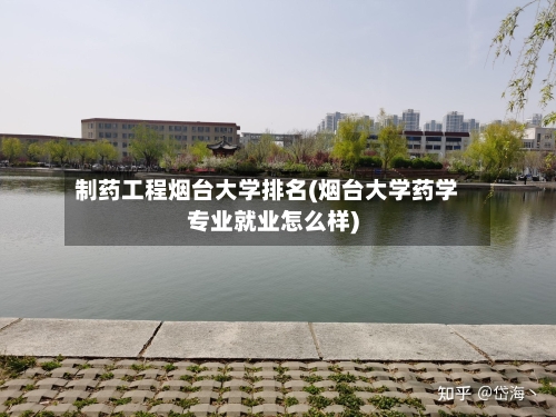 制药工程烟台大学排名(烟台大学药学专业就业怎么样)-第2张图片