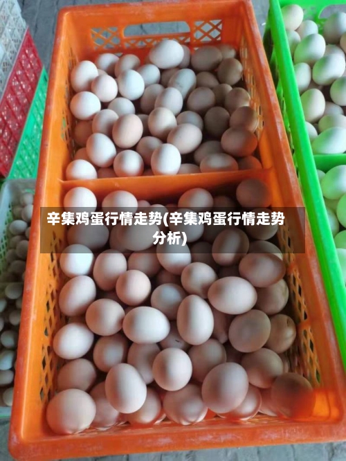 辛集鸡蛋行情走势(辛集鸡蛋行情走势分析)